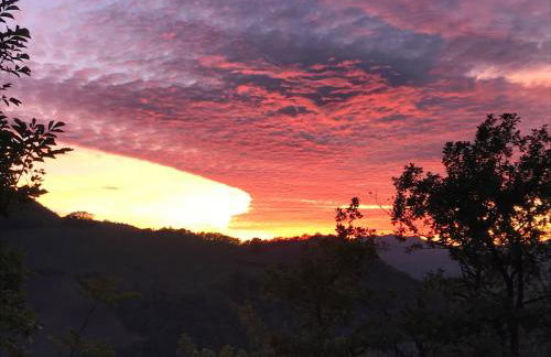 Agriturismo Il Cornio - Foto 25