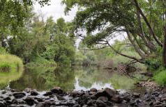 Casa do Moleiro - Foto 16