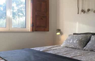 Bico das flores - Foto 56