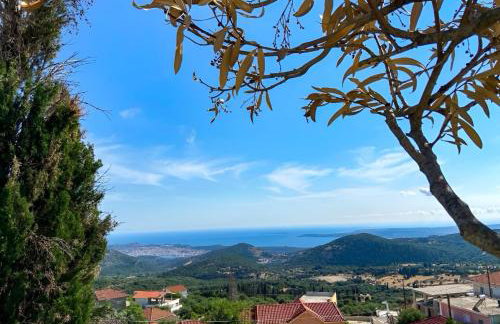 Villa kokos - Foto 15