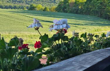 Ferienwohnung Schwarzer Kater - Foto 23