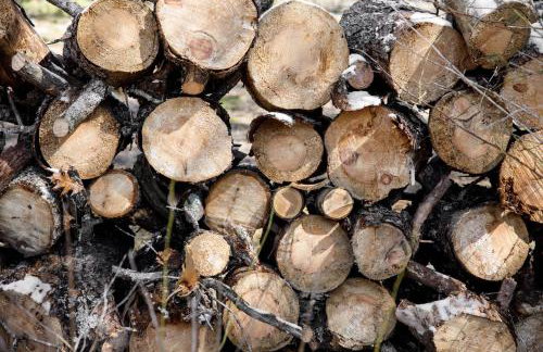 Cinders Whispering Waters and Wilderness Escape - Foto 40