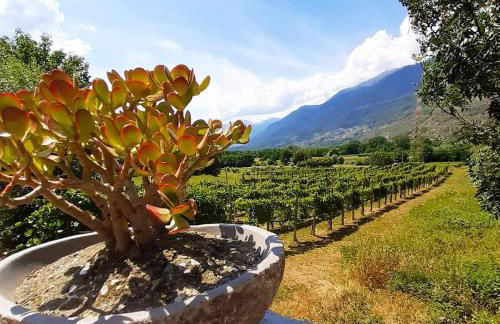 Ca' Dottori - Foto 28