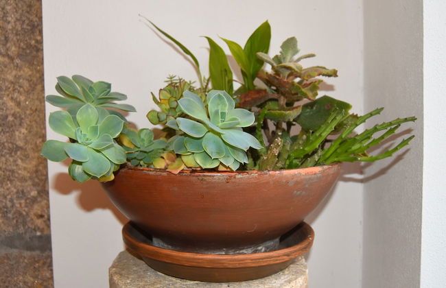 Casa de Lamas - Photo 42