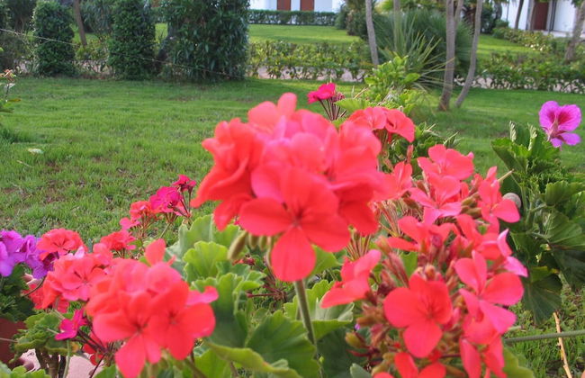 Il Venticello Agriturismo - Foto 17