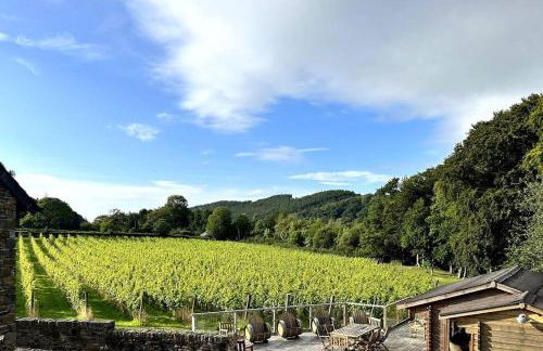 Vineyard Country Cottage - Foto 10