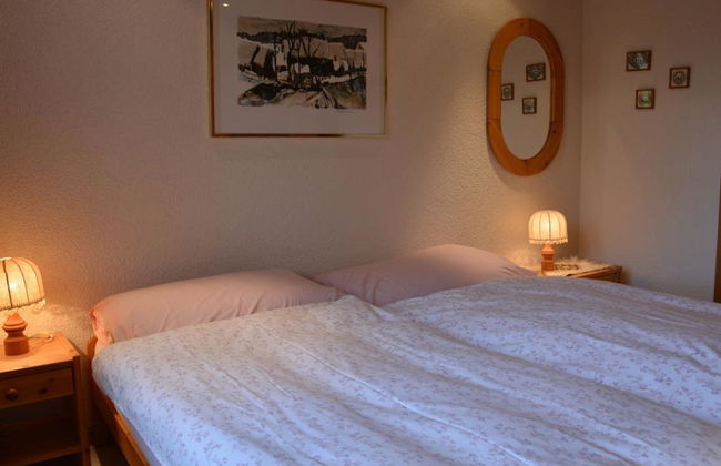 Hornflue (Wohlwender) - Foto 19