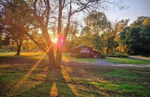 The Honey House a cozy retreat for one or two - Foto 16