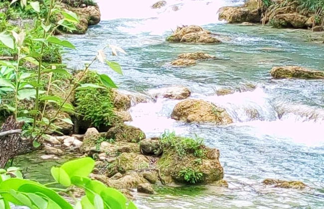 Room in Cabin - Cozy Sierraverde Cabins Cabana la Ceiba - Foto 11