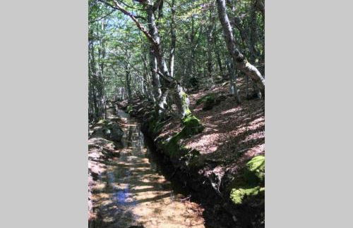 La Pellegrine, Parc national des Cévennes - Foto 47