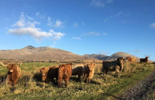 Ballimore Farm Estate - House with heated pool - Foto 16