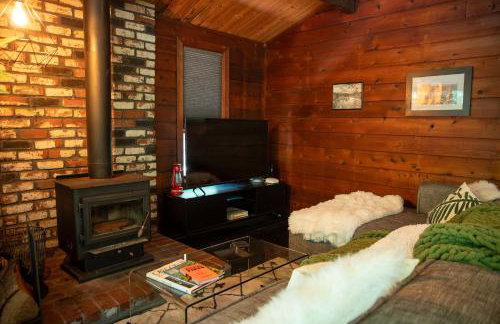 Mid-century Cabin Hideaway - Hot Tub & Fire Pit - Foto 36