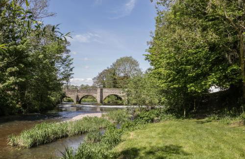 Fern House - Foto 23