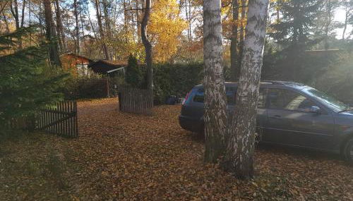 Gemutlicher Ferienbungalow am Felsensee bei Pretzien - Foto 5, Garden, Garden view