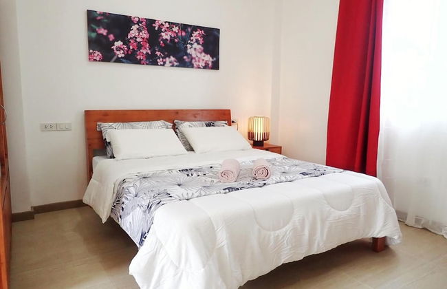 Alaia Studios - Foto 6