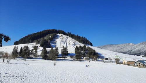 le face au tremplin Appartement 5 pers entièrement rénové dec 2022 classé meublé de tourisme 3 étoiles emplacement unique a Autrans proche du village prestations de qualité - Foto 5