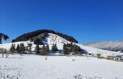 le face au tremplin Appartement 5 pers entièrement rénové dec 2022 classé meublé de tourisme 3 étoiles emplacement unique a Autrans proche du village prestations de qualité - Foto 5