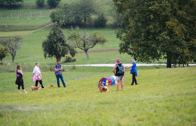 Agriturismo Florandonole - Foto 31