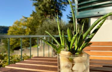 Casa Branca de Oura - Amazing Valley View - Foto 45