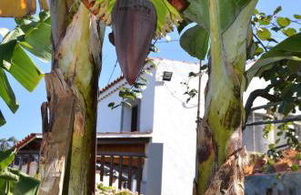 La Berrera - Foto 46