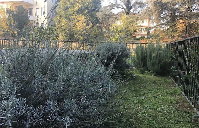 Mood Nice One - Photo 13