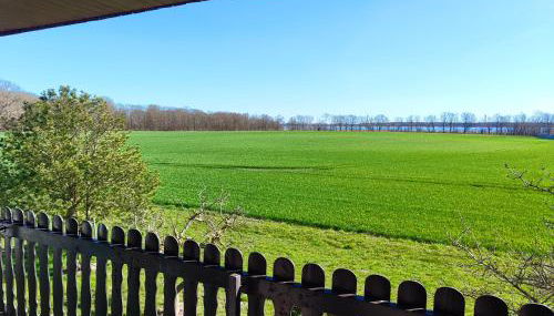 Aparthotel Schafshorn - Foto 2