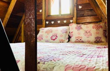 Chalé Na coruja e Chalé Encanto com BANHEIRA com AQUECEDOR e hidromassagem 7,5km centro Águas com COM CAFÉ, internet Starlink - Foto 60