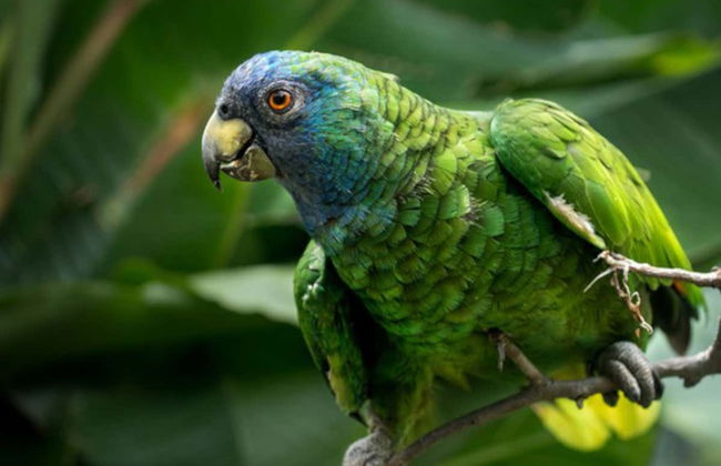 Trafalgar, Scotts Head e Wotten Waven para cruzeiros - Foto 1