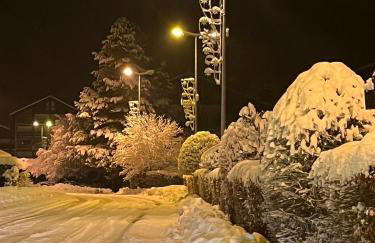 les Cimes d'Or Mont blanc - Photo 24