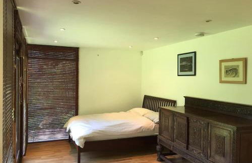 The Studio - Photo 4