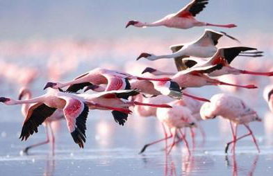 Soleil Villamartin Golf - Foto 47