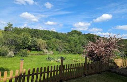 Charmant gîte en forêt avec terrasse et Wifi à Plombières-les-Bains - FR-1-589-769 - Photo 11