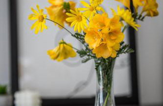 Avocado Apartment - Foto 24