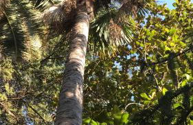 Agriturismo Castello Santa Margherita - Foto 98