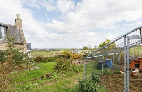 Cosy and modern 1 bedroom garden house - very dog friendly! - Photo 15