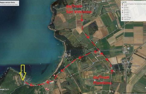 I Pesci nel golfo di Baratti - Foto 30