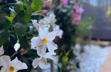 Lou soleil - Foto 19