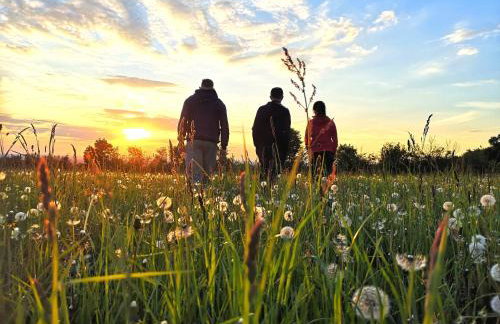 Dylewianka - Foto 41