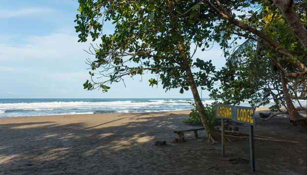 A deserted beach next to the lodge