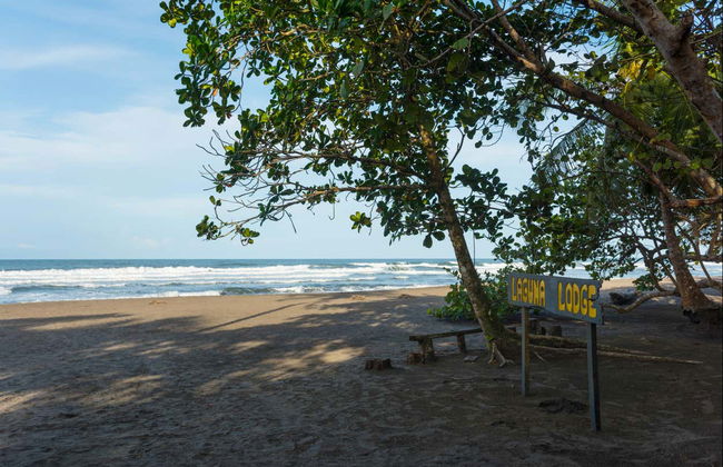 Tour de 2 ou 3 dias pelo Parque Nacional Tortuguero - Foto 4