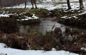 Casa da Corga - Foto 14