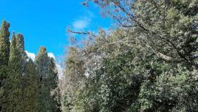 Casa vacanze “La casetta di Anna” - Foto 2, Garden view