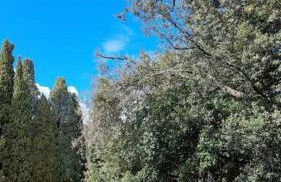 Casa vacanze “La casetta di Anna” - Foto 2