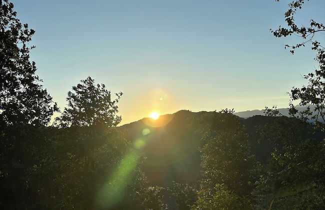 Kalivi Suit Bungalov - Foto 33