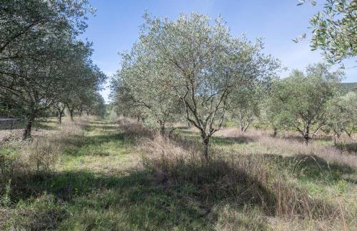 Gite 2 - Gite Les Oliviers - Foto 19