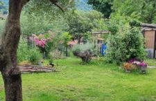 Ranalista PT - Foto 19