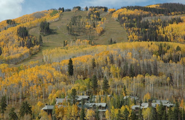 Centennial Studio Condo Unit 11a - Foto 13