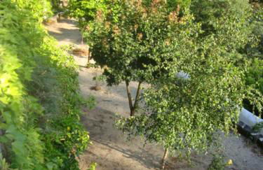 Apartamento Artur - Foto 33