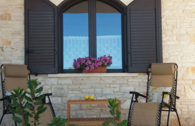 Villa Calendula - Foto 58