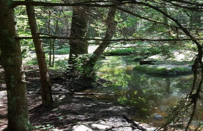 Garden Escape, Kleinwinklarn - Foto 34